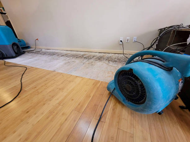 Professional Structural Drying technician working in Wellington, MO